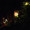 Ghirlanda luminoasa, LED, 8 becuri, incarcare solara, lumina alb cald