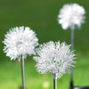 Set 2 decoratiuni luminoase solare model papadie