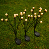 Pachet 2 Pomisori solari cu 6 bulbi LED, glob model oriental