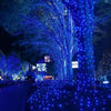 807-26095.jpg